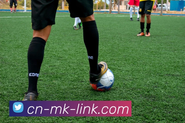 App Interface Preview